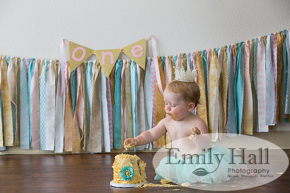 Emily Hall Photography - Charlotte - 1-3479