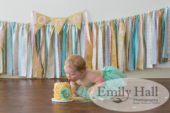 Emily Hall Photography - Charlotte - 1-3491
