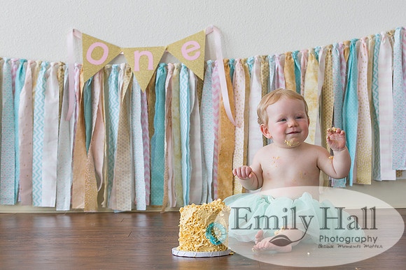 Emily Hall Photography - Charlotte - 1-3379