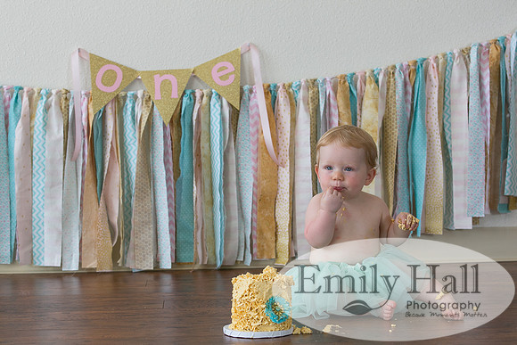Emily Hall Photography - Charlotte - 1-3422