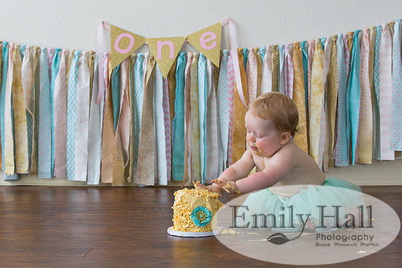 Emily Hall Photography - Charlotte - 1-3475