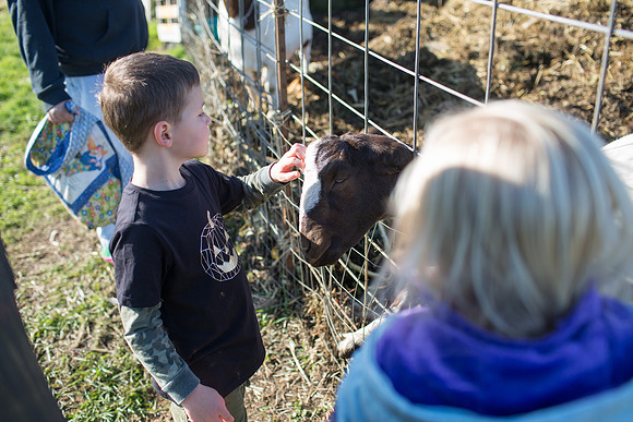 YMCA Pumpkin Patch 2019-9243