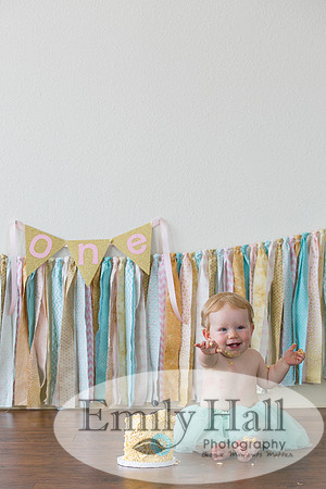 Emily Hall Photography - Charlotte - 1-3396