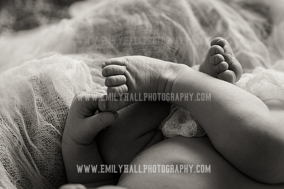Emily Hall Photography - Owen-9758-2
