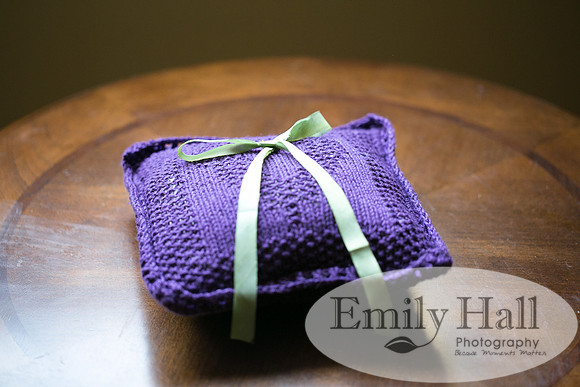 Emily Hall Photography - Emily & Bjorn's Wedding-5189