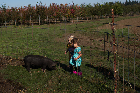 YMCA Pumpkin Patch 2019-9254