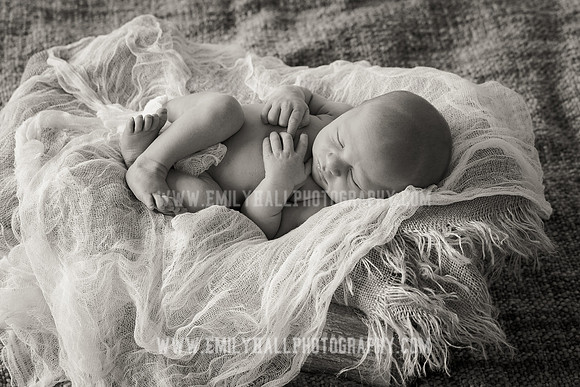 Emily Hall Photography - Owen-9740-2