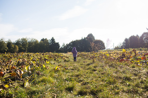 YMCA Pumpkin Patch 2019-9133
