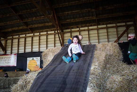 YMCA Pumpkin Patch 2019-9234