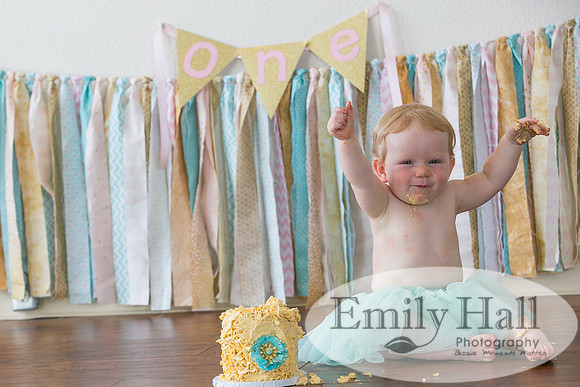 Emily Hall Photography - Charlotte - 1-3424