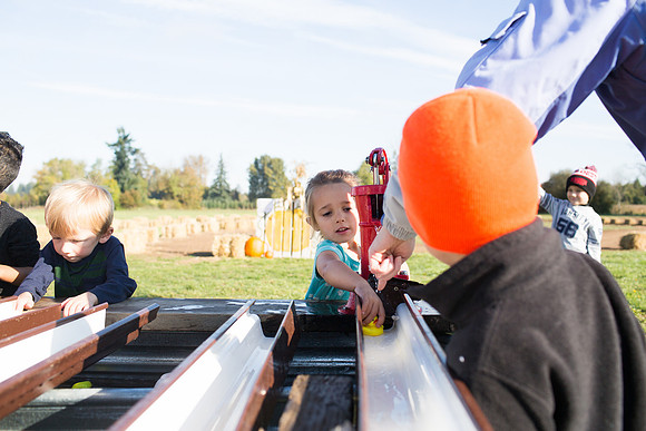YMCA Pumpkin Patch 2019-9147