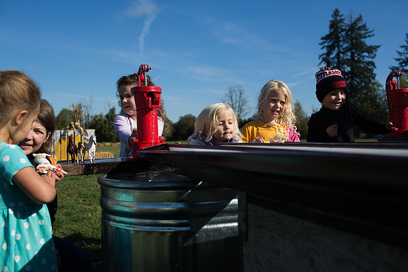 YMCA Pumpkin Patch 2019-9295