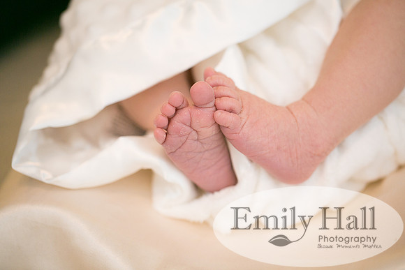 Emily Hall Photography - Anderson-5382