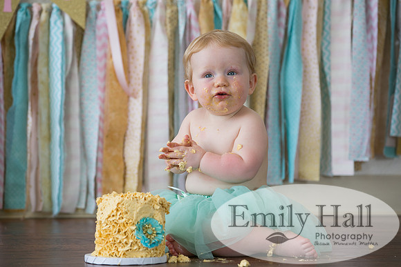 Emily Hall Photography - Charlotte - 1-3461