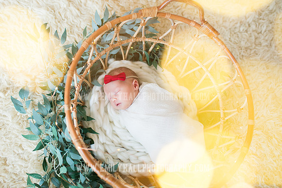 Emily Hall Photography - Newborn Portraits-3939