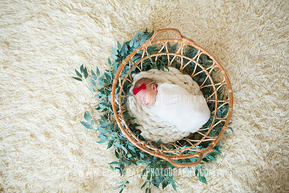 Emily Hall Photography - Newborn Portraits-3948