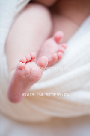 Emily Hall Photography - Newborn Portraits-4060