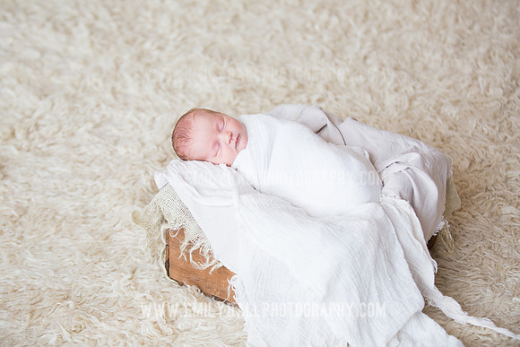 Emily Hall Photography - Newborn Portraits-3892