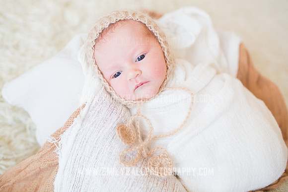 Emily Hall Photography - Newborn Portraits-4022