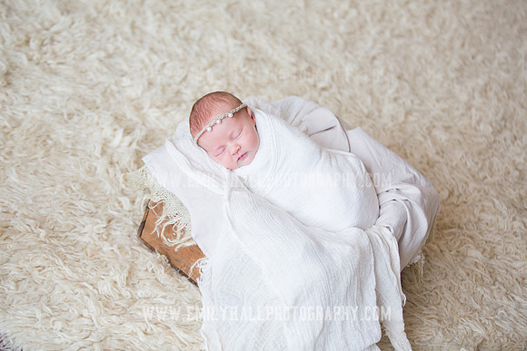 Emily Hall Photography - Newborn Portraits-3894
