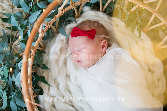 Emily Hall Photography - Newborn Portraits-3929