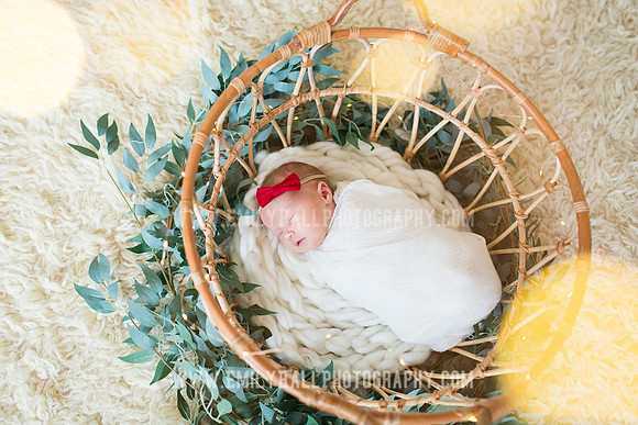 Emily Hall Photography - Newborn Portraits-3941