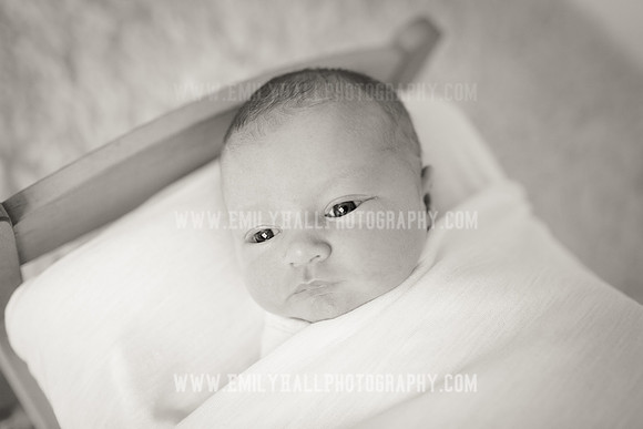 Emily Hall Photography - Newborn Portraits-4008-2