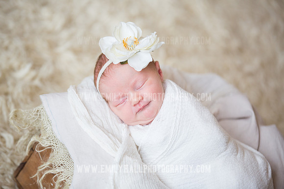 Emily Hall Photography - Newborn Portraits-3900