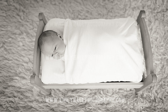 Emily Hall Photography - Newborn Portraits-4005-2