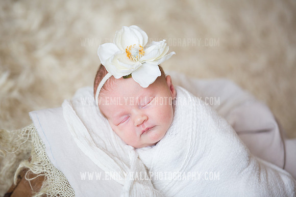 Emily Hall Photography - Newborn Portraits-3902