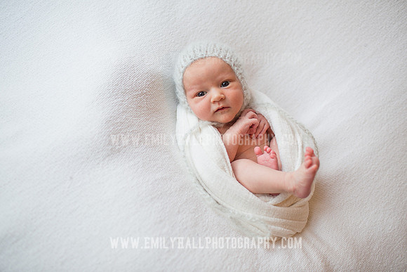 Emily Hall Photography - Newborn Portraits-4035