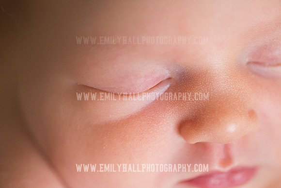 Emily Hall Photography - Newborn Portraits-3968