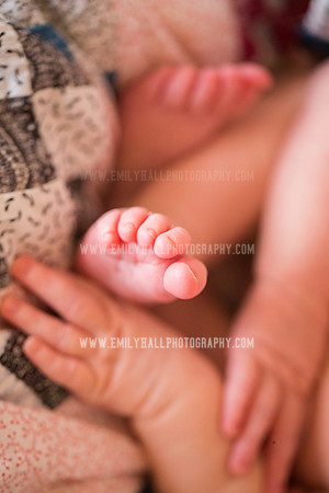 Emily Hall Photography - Newborn Portraits-3980