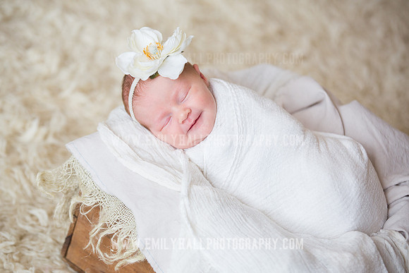 Emily Hall Photography - Newborn Portraits-3906