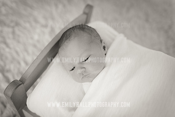 Emily Hall Photography - Newborn Portraits-4002-2