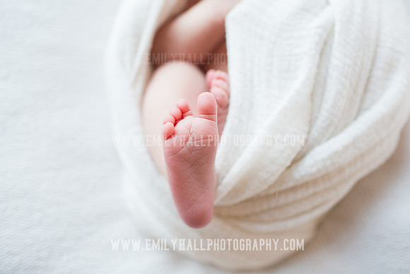 Emily Hall Photography - Newborn Portraits-4054
