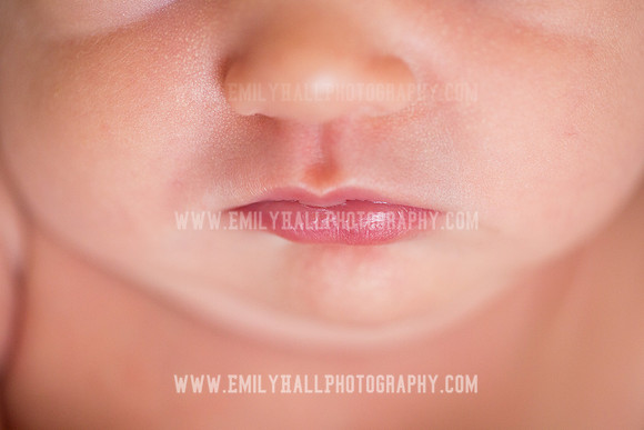 Emily Hall Photography - Newborn Portraits-3966