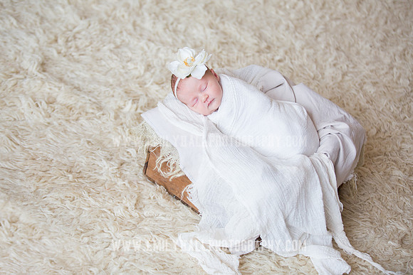 Emily Hall Photography - Newborn Portraits-3899
