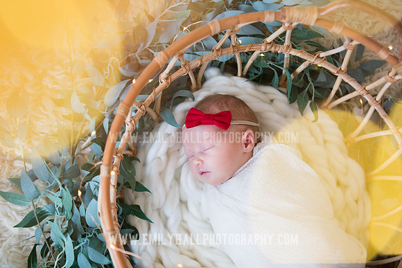 Emily Hall Photography - Newborn Portraits-3934