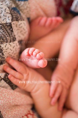 Emily Hall Photography - Newborn Portraits-3981