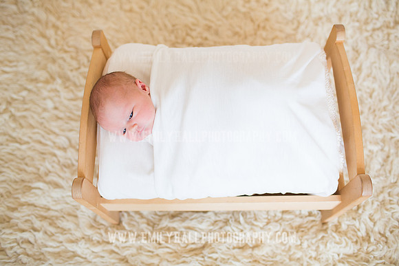 Emily Hall Photography - Newborn Portraits-4005