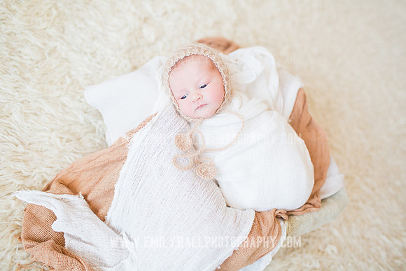 Emily Hall Photography - Newborn Portraits-4014