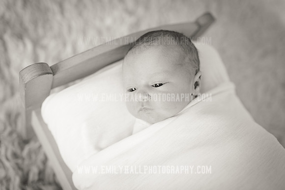 Emily Hall Photography - Newborn Portraits-4000-2