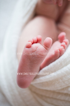 Emily Hall Photography - Newborn Portraits-4058