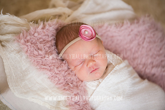 Emily Hall Photography - Newborn Portraits-3924