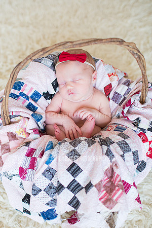 Emily Hall Photography - Newborn Portraits-3952