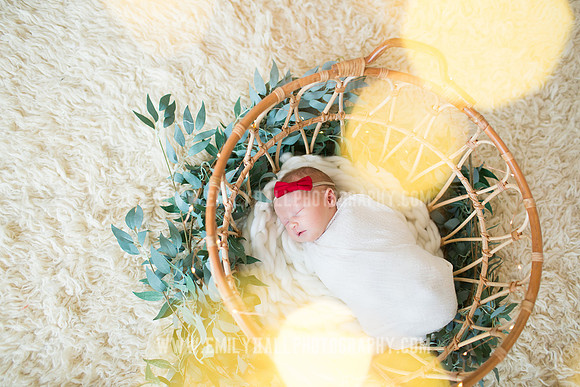 Emily Hall Photography - Newborn Portraits-3940