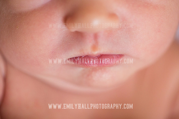 Emily Hall Photography - Newborn Portraits-3970