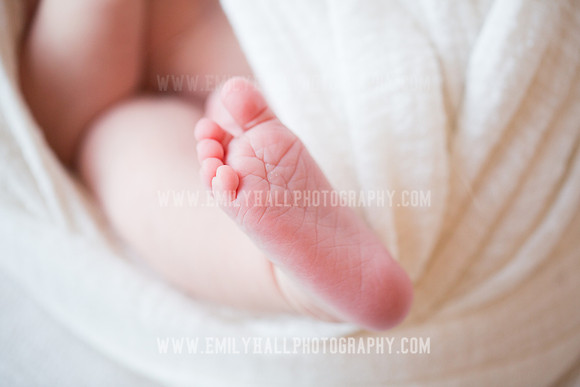 Emily Hall Photography - Newborn Portraits-4056