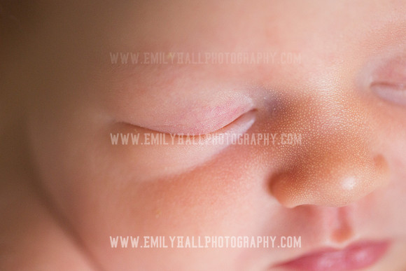 Emily Hall Photography - Newborn Portraits-3967